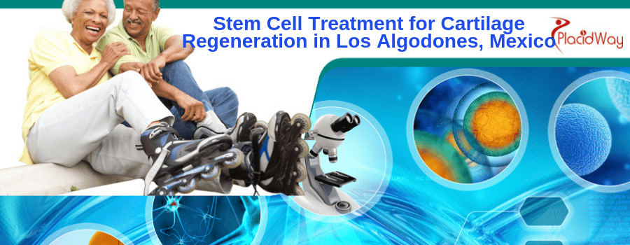 Stem Cell Treatment for Cartilage Regeneration in Los Algodones, Mexico